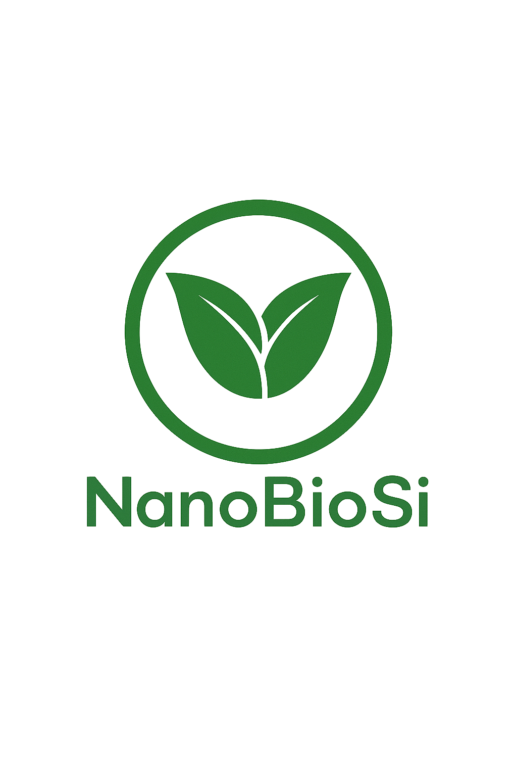 NanoBioSi logo
